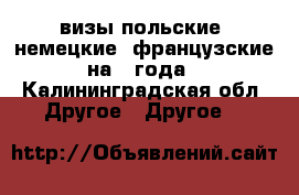 визы польские, немецкие, французские на 3 года - Калининградская обл. Другое » Другое   